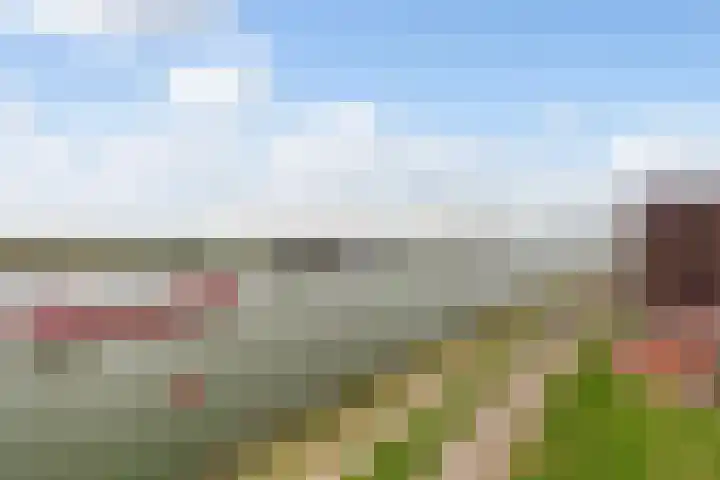 Het Hoge Licht 63 Maassluis thumbnail 25