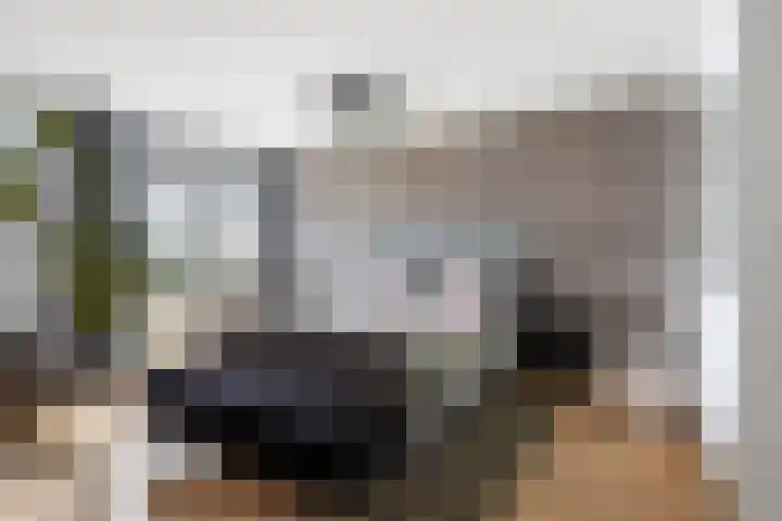 Het Hoge Licht 63 Maassluis thumbnail 28