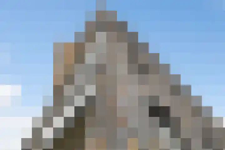 Het Hoge Licht 63 Maassluis thumbnail 43