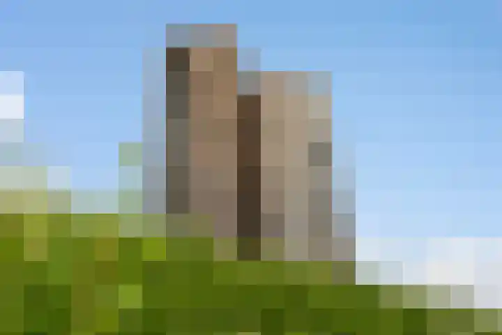 Het Hoge Licht 63 Maassluis thumbnail 47