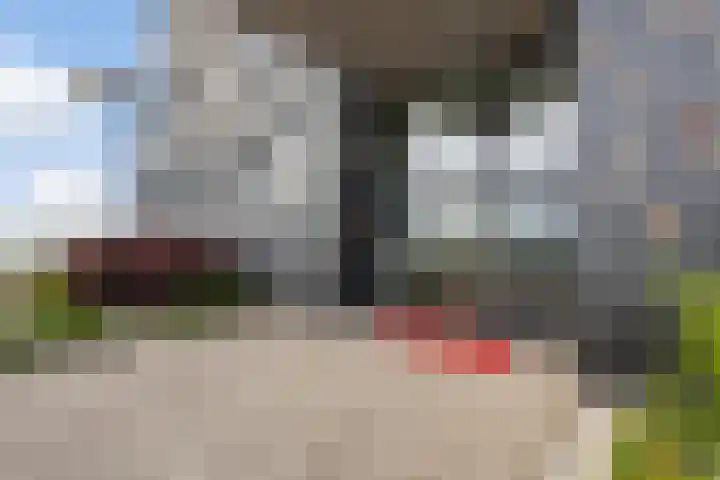 Het Hoge Licht 63 Maassluis thumbnail 5