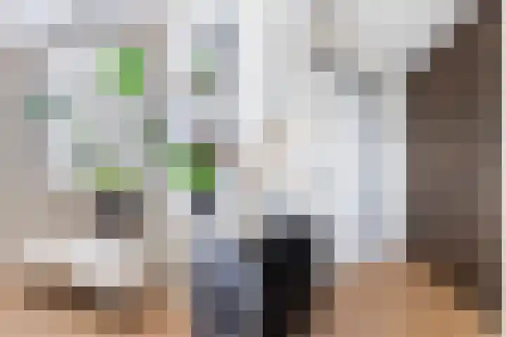 Het Hoge Licht 63 Maassluis thumbnail 8