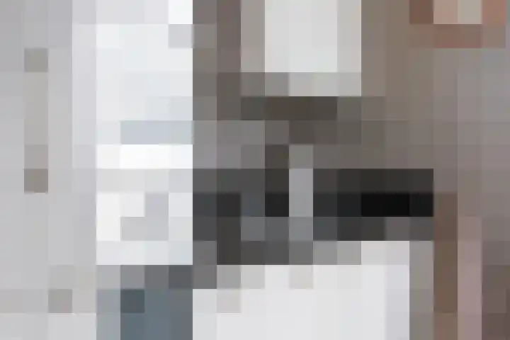 Het Hoge Licht 9 Maassluis thumbnail 26