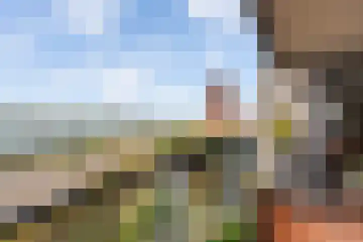 Het Hoge Licht 9 Maassluis thumbnail 29