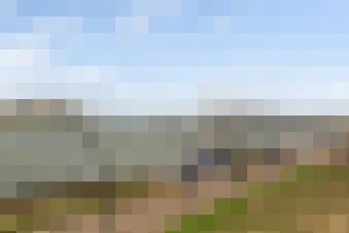 Het Hoge Licht 9 Maassluis thumbnail 30
