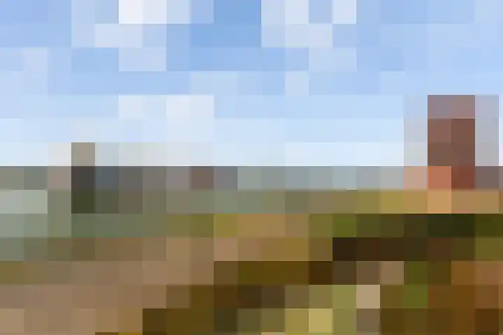 Het Hoge Licht 9 Maassluis thumbnail 20