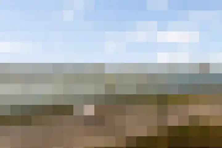 Het Hoge Licht 9 Maassluis thumbnail 21