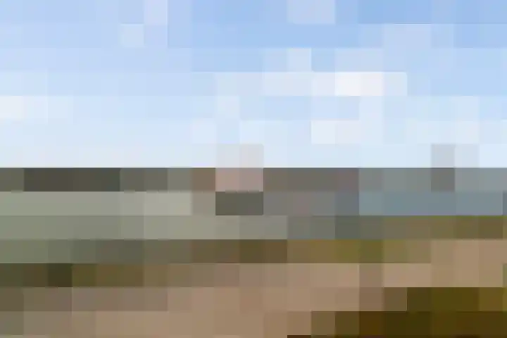 Het Hoge Licht 9 Maassluis thumbnail 22
