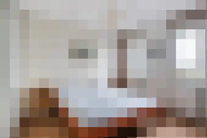 Het Hoge Licht 9 Maassluis thumbnail 24