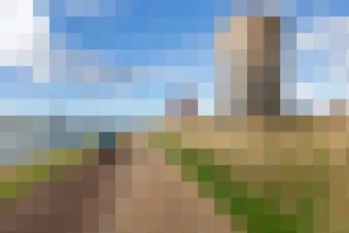 Het Hoge Licht 9 Maassluis thumbnail 4