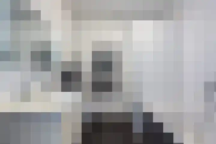 Het Hoge Licht 9 Maassluis thumbnail 27
