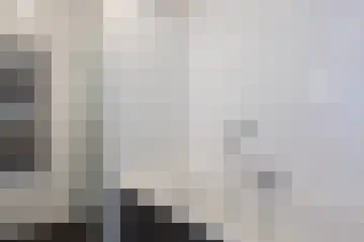 Het Hoge Licht 9 Maassluis thumbnail 28