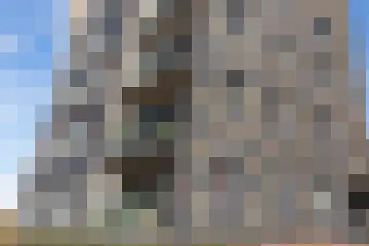 Het Hoge Licht 9 Maassluis thumbnail 29