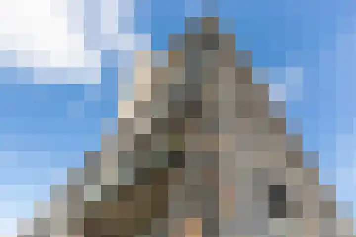 Het Hoge Licht 9 Maassluis thumbnail 48