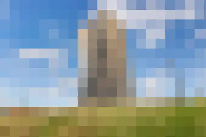 Het Hoge Licht 9 Maassluis thumbnail 30