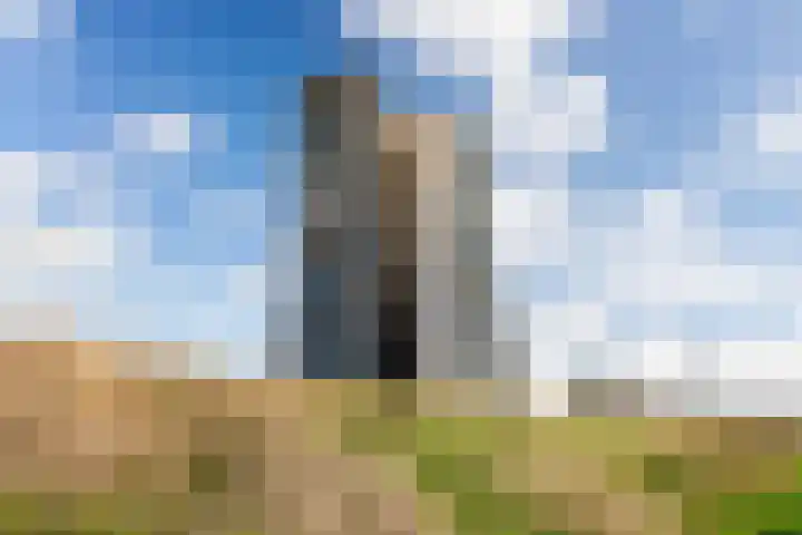 Het Hoge Licht 9 Maassluis thumbnail 50