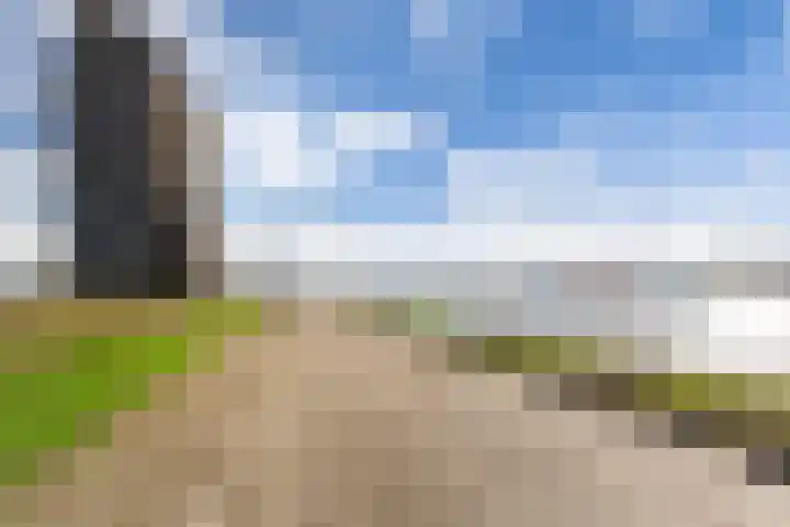 Het Hoge Licht 9 Maassluis thumbnail 51