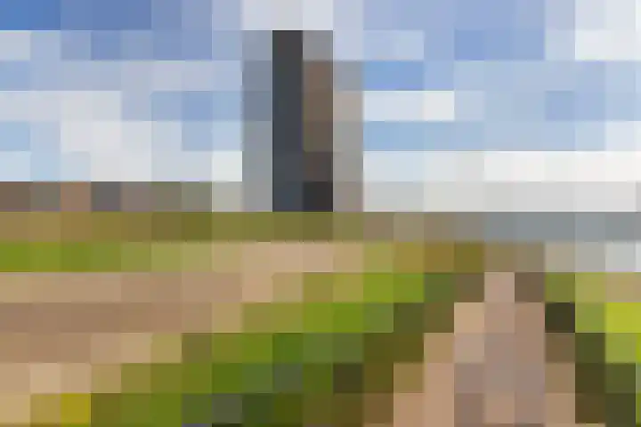 Het Hoge Licht 9 Maassluis thumbnail 52