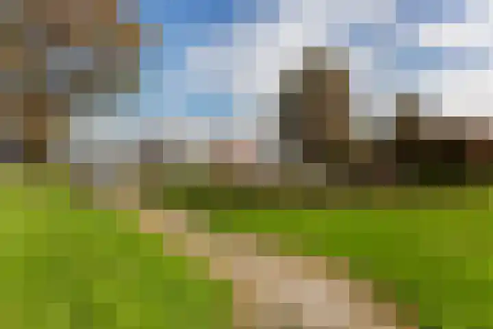 Het Hoge Licht 9 Maassluis thumbnail 53