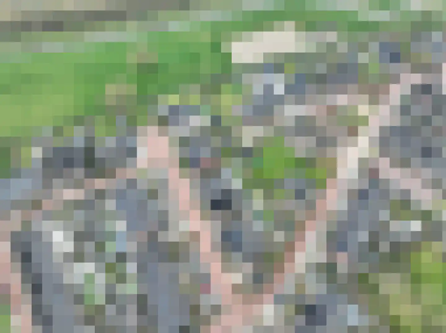 het Hoge Rot 32 Hernen thumbnail 100