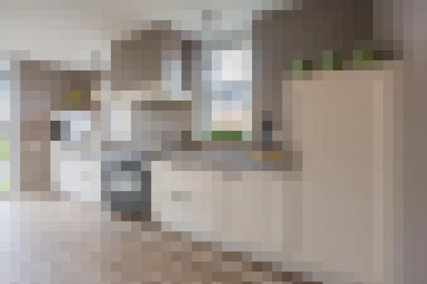 het Hoge Rot 32 Hernen thumbnail 20