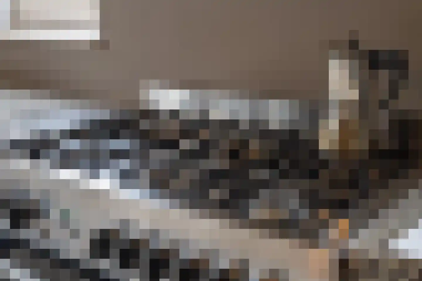 het Hoge Rot 32 Hernen thumbnail 24