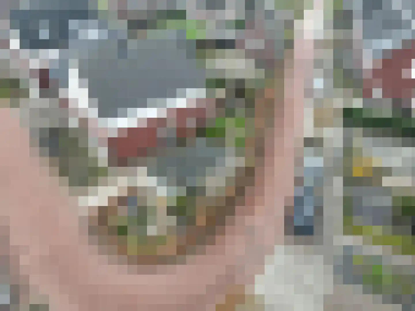 het Hoge Rot 32 Hernen foto 3