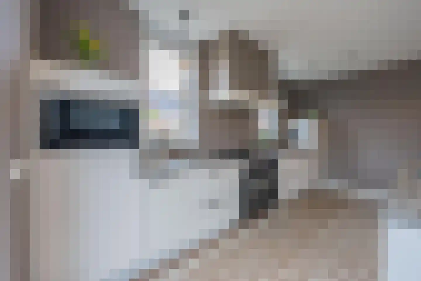 het Hoge Rot 32 Hernen thumbnail 33