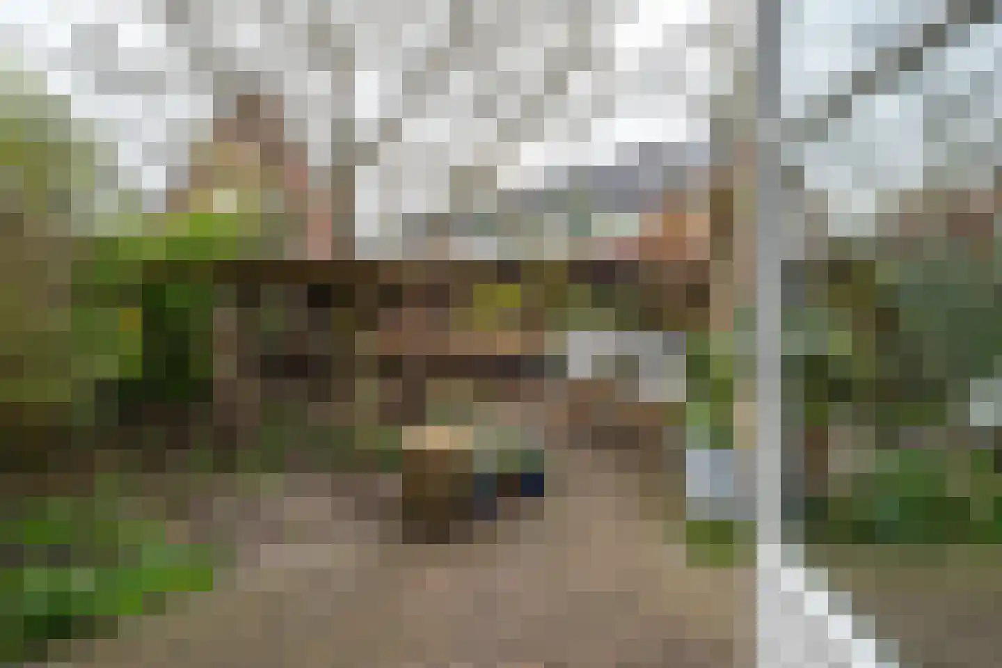 het Hoge Rot 32 Hernen thumbnail 38