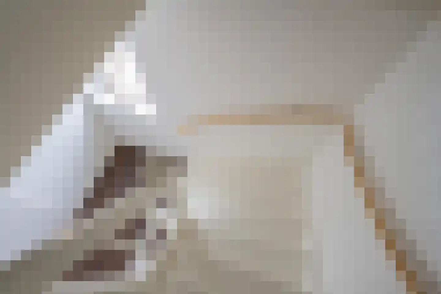 het Hoge Rot 32 Hernen thumbnail 63