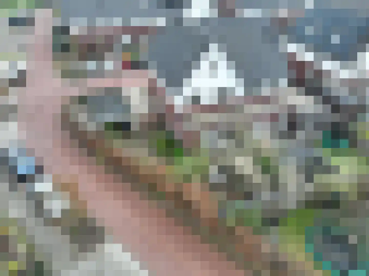 het Hoge Rot 32 Hernen thumbnail 67