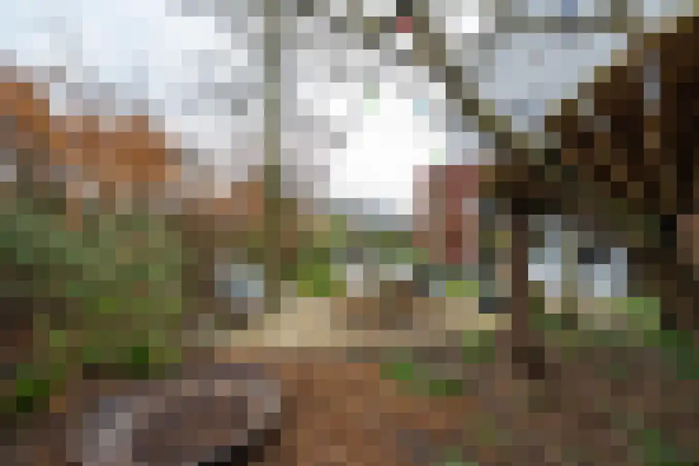 het Hoge Rot 32 Hernen thumbnail 71