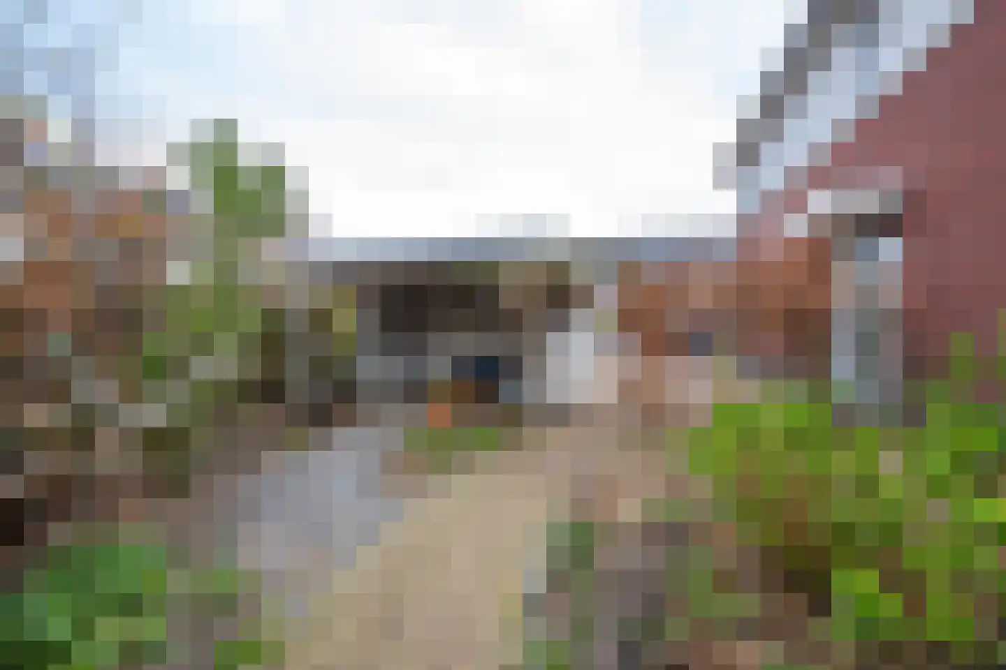 het Hoge Rot 32 Hernen thumbnail 72