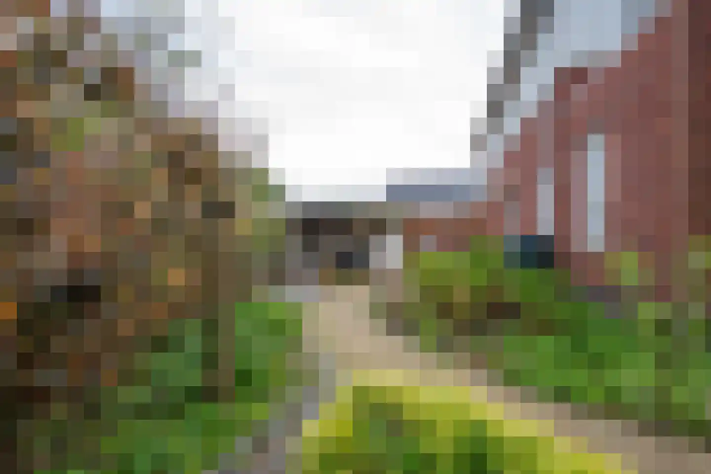 het Hoge Rot 32 Hernen thumbnail 76