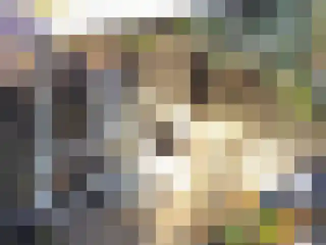 het Hoge Rot 32 Hernen thumbnail 80