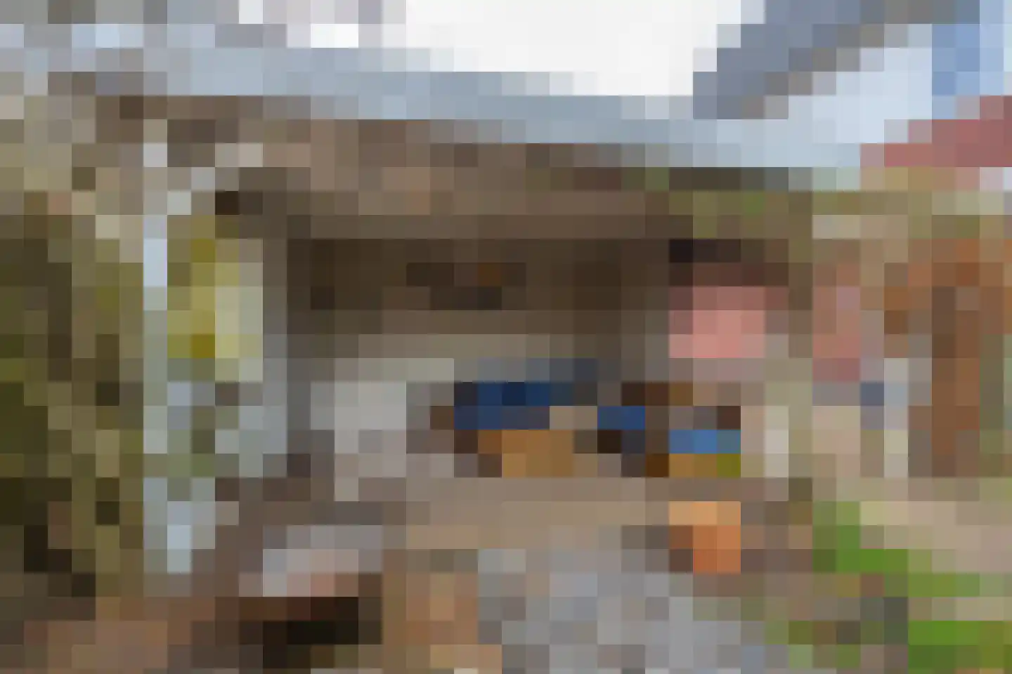 het Hoge Rot 32 Hernen thumbnail 81