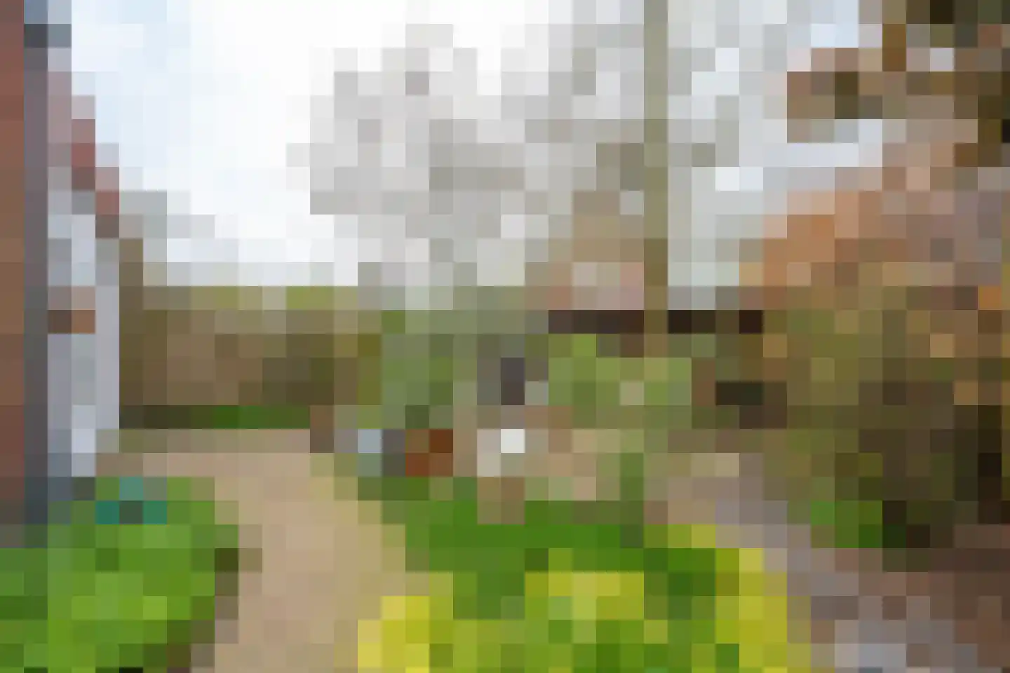het Hoge Rot 32 Hernen thumbnail 83