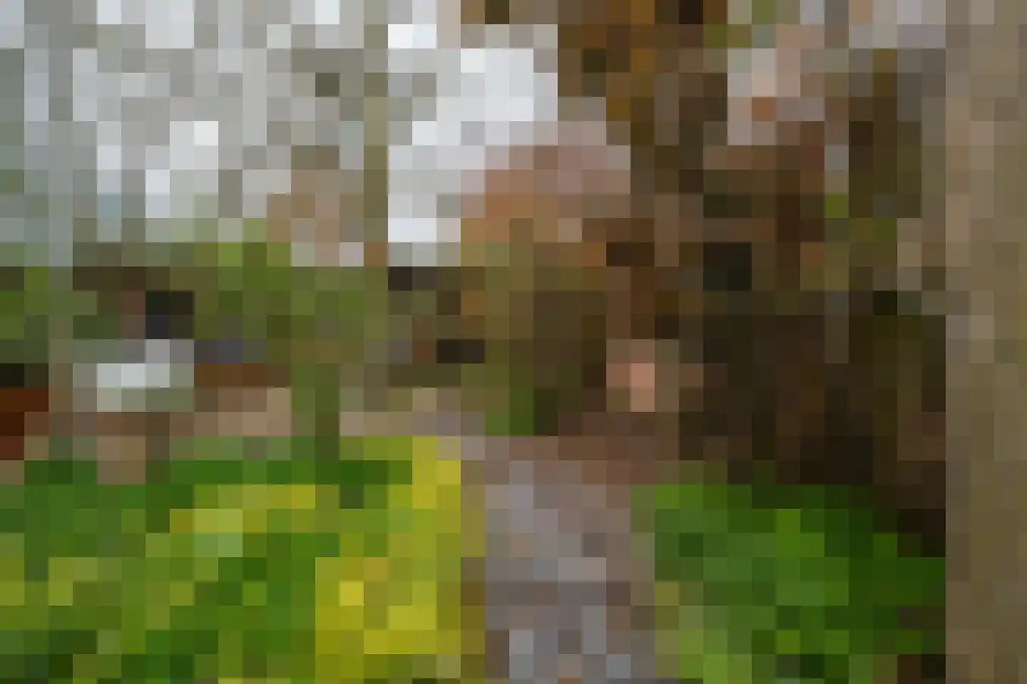 het Hoge Rot 32 Hernen thumbnail 85