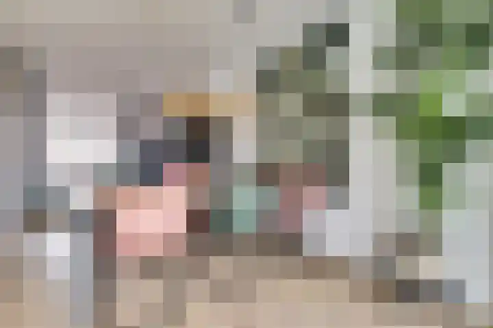 het Hoge Rot 36 Hernen thumbnail 10