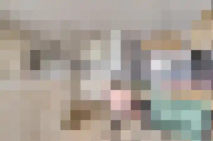 het Hoge Rot 36 Hernen thumbnail 11