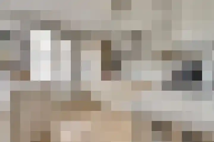 het Hoge Rot 36 Hernen thumbnail 12