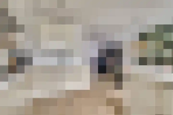 het Hoge Rot 36 Hernen thumbnail 13