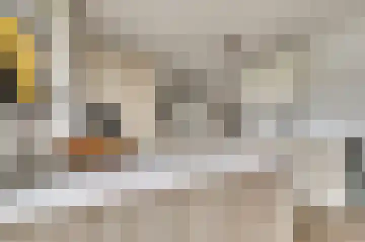 het Hoge Rot 36 Hernen thumbnail 14