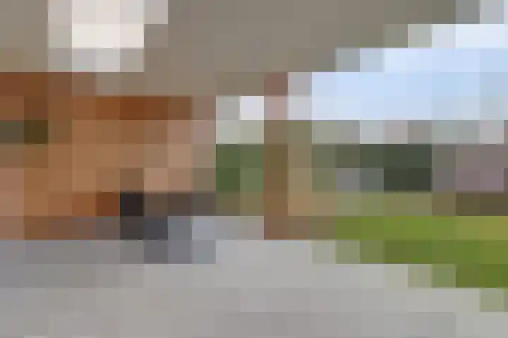het Hoge Rot 36 Hernen foto 2