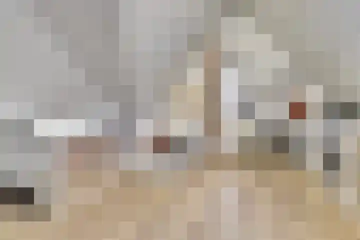 het Hoge Rot 36 Hernen thumbnail 28