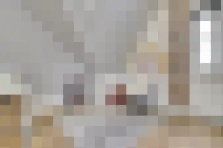 het Hoge Rot 36 Hernen thumbnail 29