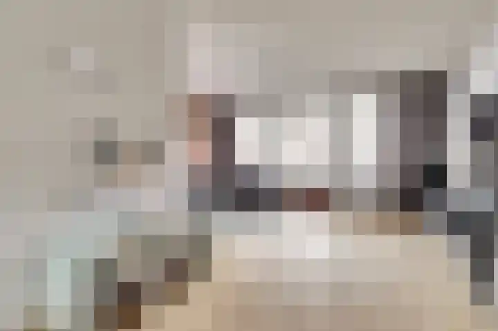 het Hoge Rot 36 Hernen foto 3