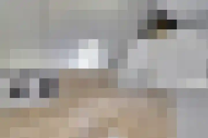 het Hoge Rot 36 Hernen thumbnail 30