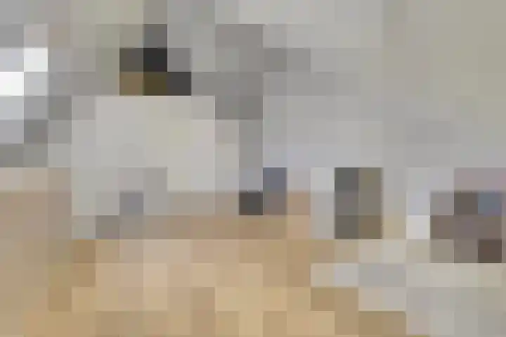 het Hoge Rot 36 Hernen thumbnail 31