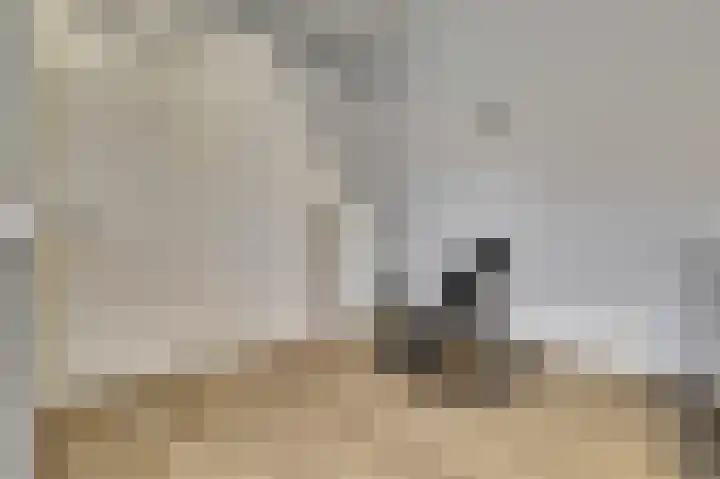 het Hoge Rot 36 Hernen thumbnail 32